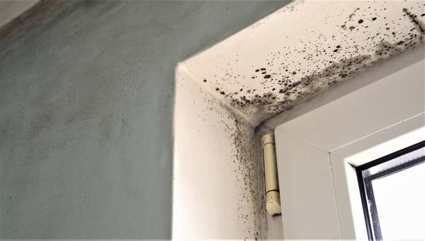 Best Indoor Air Quality Assessment  in East Falmouth, MA